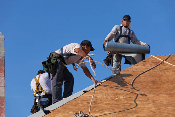 Best Local Roofing Companies  in Rose Hill, VA